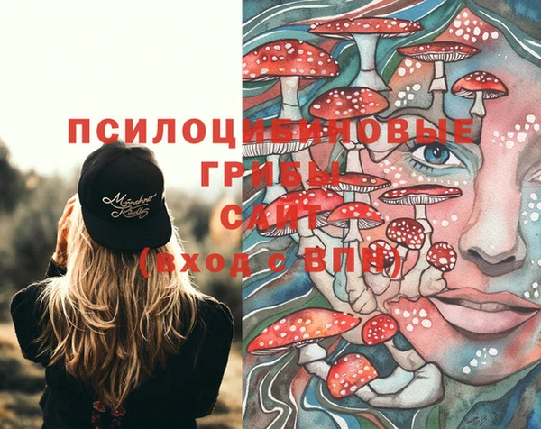 таблы Новозыбков