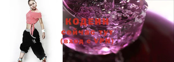 индика Нефтекумск