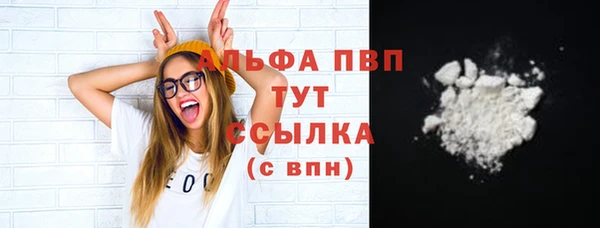 таблы Новозыбков