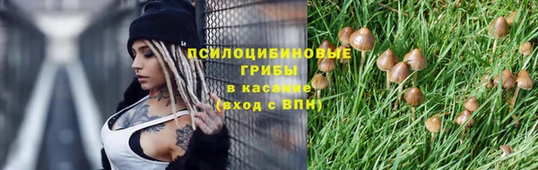 Альфа ПВП Новокубанск