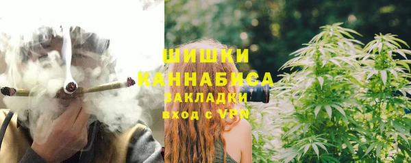 индика Нефтекумск