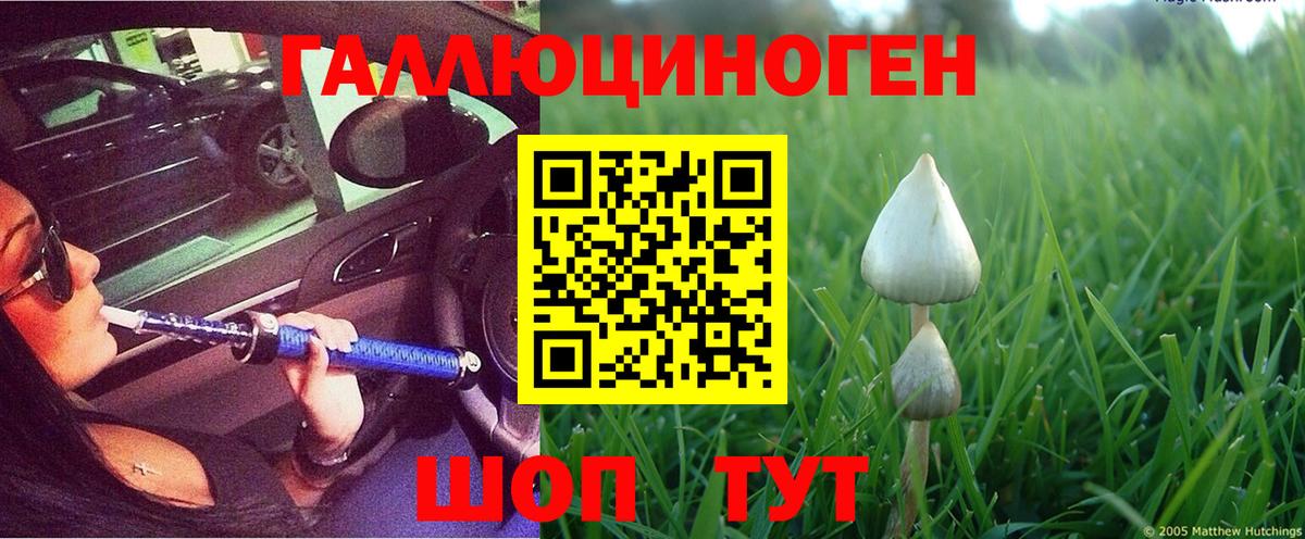 Псилоцибиновые грибы мицелий Белореченск