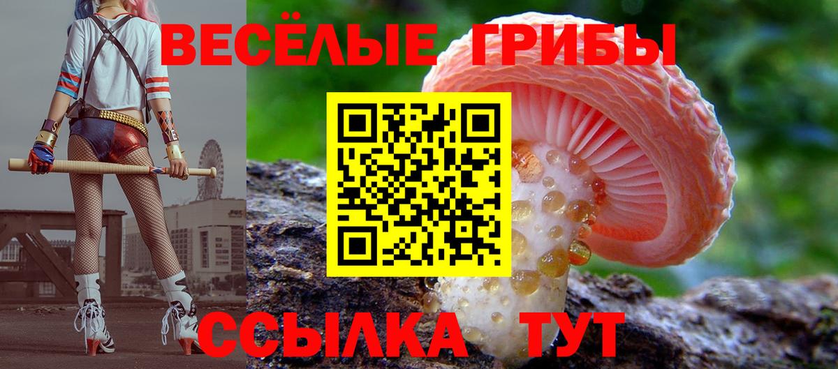 Белореченск  Галлюциногенные грибы Cubensis  Вход с VPN  Галлюциногенные грибы ЛСД 